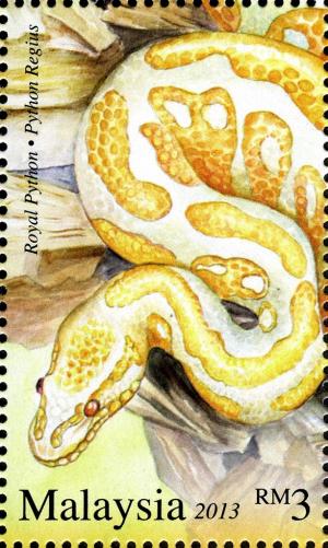Colnect-2568-027-Ball-Phyton-Python-regius.jpg