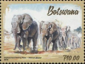 Colnect-4516-483-Elephants-in-Botswana.jpg