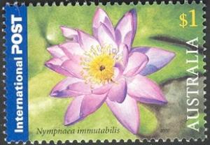 Colnect-458-439-Nymphaea-immutabilis.jpg