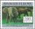 Colnect-2158-853-African-Forest-Elephant-Loxodonta-africana-cyclotis.jpg