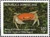 Colnect-3167-293-Crab-Epilobocera-wetherbeei.jpg