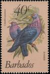 Colnect-863-972-Scaly-naped-Pigeon-Patagioenas-squamosa.jpg