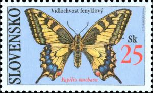 Swallowtail-Papilio-machaon.jpg