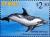 Colnect-6310-210-Pantropical-spotted-dolphin.jpg