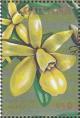 Colnect-1667-362-Epidendrum-rigidum.jpg