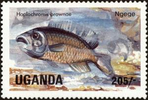 Colnect-4302-404-Haplochromis-brownae.jpg