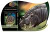 Colnect-6184-678-Hippopotamus-amphibius.jpg