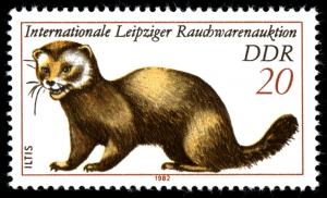 Colnect-1981-824-European-Polecat-Mustela-putorius.jpg