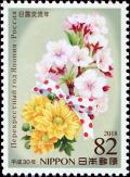 Colnect-5320-124-Japanese-cherry-Prunus-serrulata--Chrysanthemum.jpg
