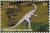 Colnect-4729-563-Compsognathus-longipes.jpg