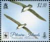 Colnect-4802-704-Phoenix-petrel-Pterodroma-alba-pair-in-flight.jpg