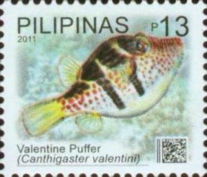 Colnect-2914-133-Valentine--s-Puffer-Canthigaster-valentini.jpg