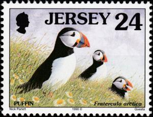 Colnect-6229-823-Atlantic-Puffin-Fratercula-arctica.jpg