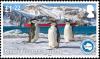 Colnect-3716-107-Chinstrap-Penguin-Pygoscelis-antarctica-Cruise-Ship.jpg