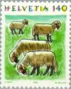 Colnect-141-218-Sheep-Ovis-ammon-aries.jpg