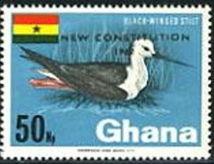 Colnect-2341-449-Black-winged-Stilt-nbsp-Himantopus-himantopus---overprinted.jpg