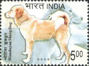 Colnect-542-338-Himalayan-Sheep-Dog-Canis-lupus-familiaris.jpg