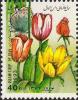 Colnect-2613-157-Tullip-Rose-and-butterfly.jpg