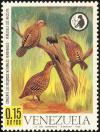 Colnect-1503-773-Marbled-Wood-quail-Odontophorus-gujanensis.jpg