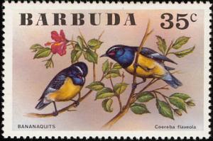 Colnect-1976-300-Bananaquit-Coereba-flaveola.jpg