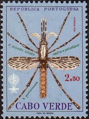 Colnect-2299-022-Anopheles-Mosquito-Anopheles-pictoriensis.jpg