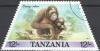 Colnect-2107-909-Orangutan-Pongo-sp.jpg