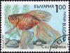 Colnect-3856-292-Goldfish-Carassius-auratus-bicaudatus.jpg