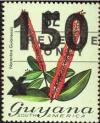 Colnect-4803-365-Norantea-guianensis.jpg