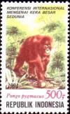 Colnect-938-883-Bornean-Orangutan-Pongo-pygmaeus.jpg