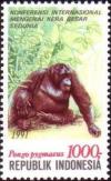 Colnect-938-885-Bornean-Orangutan-Pongo-pygmaeus.jpg