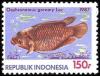 Colnect-947-004-Giant-Gourami-Osphronemus-goramy-.jpg