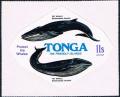 Colnect-2231-105-Sei-Whale-Balaenoptera-borealis-Fin-Whale-Balaenoptera-p.jpg