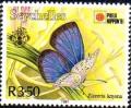 Colnect-2547-544-African-Grass-Blue-Zizeeria-knysna.jpg