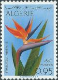 Colnect-2939-159-Bird-of-paradise-Strelitzia-reginae.jpg