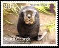 Colnect-4773-905-Antaractic-Fur-Seal--Pup.jpg