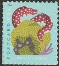 Colnect-5714-896-Grooved-Brain-Coral-Spotted-Moray.jpg