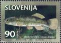 Stamp_of_Umbra_crameri.jpg