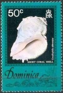 Colnect-2015-359-Short-Abbreviate-Coral-Shell-Coralliophila-abbreviata.jpg