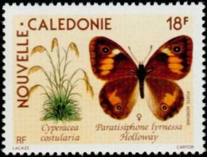 Colnect-2181-971-Satyrid-Butterfly-Paratisiphone-lyrnessa---Female-Grass-.jpg