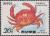 Colnect-1430-816-Red-Reef-Crab-Atergatis-subdentatus.jpg