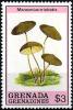 Colnect-2932-866-Marasmius-trinitatis.jpg