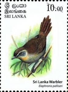 Colnect-4611-314-Sri-Lanka-Warbler-Elaphrornis-palliseri.jpg