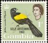 Colnect-1462-553-Yellow-mantled-Widowbird%C2%A0Euplectes-macrourus---overprinted.jpg