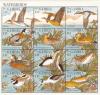 Colnect-1721-735-Waterbirds---Mini-Sheet-of-12.jpg
