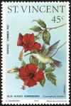 Colnect-1755-557-Blue-headed-Hummingbird-Cyanophaia-bicolor-Hibiscus--Comm.jpg
