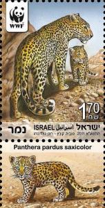 Colnect-774-452-Persian-Leopard-Panthera-pardus-saxicolor.jpg