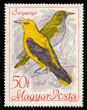 1890_Birds_50.jpg