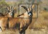 Colnect-2206-571-Endangered-wildlife---Antelope.jpg