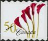 Colnect-576-957-Red-Calla-Lily.jpg