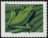 Colnect-6154-882-American-Green-Tree-Frog-Hyla-cinera.jpg